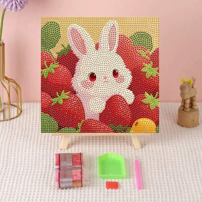 Framed Diamond Painting Kits